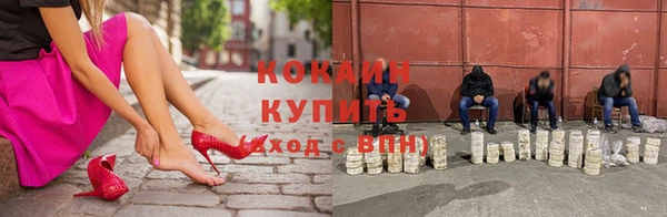 прущие грибы Абинск