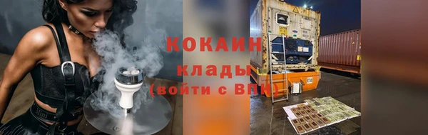 прущие грибы Абинск