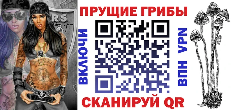 Галлюциногенные грибы Psilocybine cubensis  Вышний Волочёк 